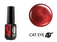 Zobrazit ve větším rozlišení.