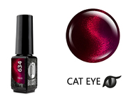 Zobrazit ve větším rozlišení.