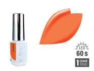 Zobrazit ve větším rozlišení.