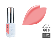 Zobrazit ve větším rozlišení.